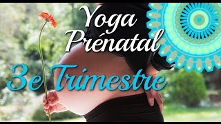 Yoga Prénatal spécial 3e Trimestre avec Ariane [upl. by Elsey]