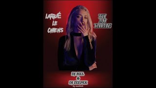 DJ MEL amp DJ ZEEPEK  LARGUER LE CHIENS MIX 2023 [upl. by Morette105]