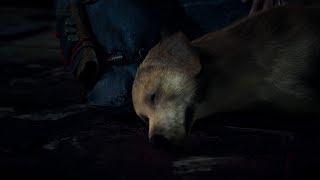 Days Gone  Dog Death Scene Sad Moment [upl. by Akinat]