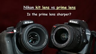 Nikon AFP 1855mm kit lens vs AFS 50mm F18G  lets compare their sharpness [upl. by Ottilie]