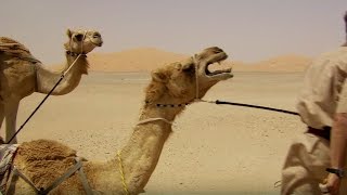 Deserted By Desert Camels  Ben amp James Versus The Arabian Desert  BBC [upl. by Ellehsar93]