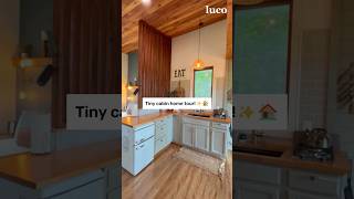 Hilltop tiny cabin home tour 🏠 [upl. by Timms]