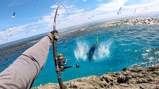 Catching Giant Fish in Feeding Frenzy Hectic Footage [upl. by Norvall]