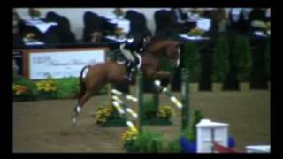 Equitation  Maclay Finals Superstar  Retired in 2015 [upl. by Gilberta745]