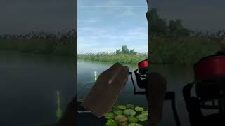 Fishing Planet  Catching Trophy Florida Gar [upl. by Amalbena]