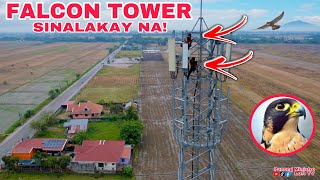 EP612  FALCON TOWER INAKYAT NG DALAWA [upl. by Sarita]