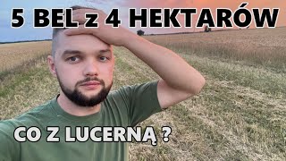 DLACZEGO LUCERNA NIE ROŚNIE [upl. by Nero908]