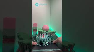 short Ivysaur multicolor 3Dprint [upl. by Nelloc]