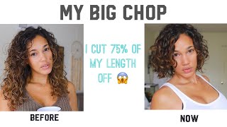 Big Chop on fine wavy to curly hair  why I cut it all off [upl. by Tann]