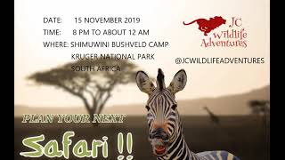 Simuwini Bushveld Camp Kruger National Park Night Sounds [upl. by Racso228]