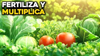 ¿Quieres Más Vegetales Prueba Estos 7 Fertilizantes Potentes [upl. by Un]