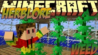 Minecraft Mods Showcase  Drugs Mod 18  1710  182  1120 [upl. by Eissirc]