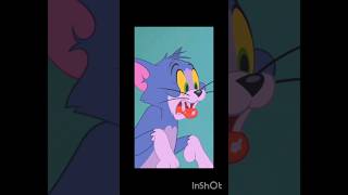 Tom😾 and Jerry cartoon tom Jerry full episodes 😽😾 [upl. by Eenor]