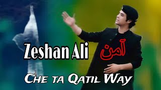 Zama Qatil Way  New Pashto Song Zeshan Ali ilbun Aman trendingsong [upl. by Haleigh]