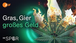 JuicyFields – Der größte CannabisBetrug aller Zeiten  Die Spur [upl. by Adrianna28]