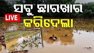 🔴Live  ସବୁ ଛାରଖାର କରିଦେଲା  Cyclone Dana aftermath  OTV Live  Odisha TV  OTV [upl. by Odanref25]