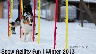 Snow Agility Fun  Sprotte amp Lissy [upl. by Marlin]