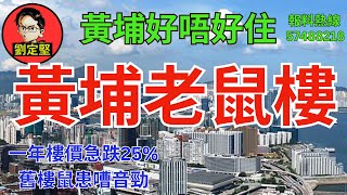 黃埔好唔好住。香港地系列28 [upl. by Akihdar593]