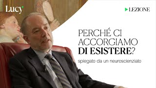 Perché ci accorgiamo di esistere La lezione di Giorgio Vallortigara  Lucy  Sulla cultura [upl. by Alleyne]