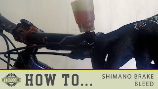 Shimano Brake Bleeding  How to Guide [upl. by Murdoch855]