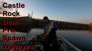 Castle Rock Dam  Pre Spawn Walleyes [upl. by Elnukeda]