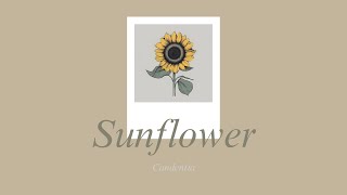 Candentia  Sunflower Lyrics [upl. by Alexio]