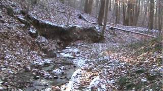 White Clay Creek State Park MasonDixon Trail from Wells Field to Creek Road  Nov 19 2010 [upl. by Hutchison]