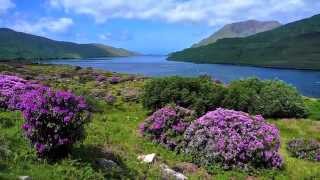 quotThe Irish washerwoman quot by Leroy Anderson [upl. by Clarice698]