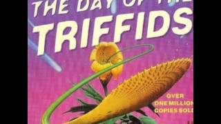 John Wyndham  The Day of the Triffids  Audiobook full [upl. by Asha]