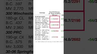 300 Yard Comparison  3006 Springfield vs 300 Win Mag [upl. by Nnylarac]