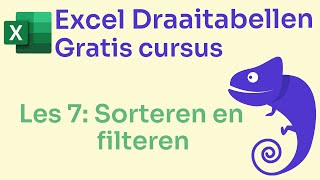 Gratis Excel Draaitabellen Cursus Les 7 Sorteren en filteren gratiscursus excel draaitabellen [upl. by Cheffetz539]