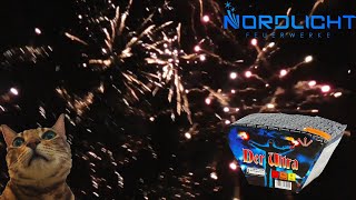 Nordlicht Feuerwerk Der Ultra  25 Schuss Fächerbatterie  PyRo HD [upl. by Anod]