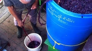 Homemade Italian Wine [upl. by Drice]