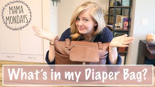 WHATS IN MY DIAPER BAG  The Wander Family [upl. by Nate]