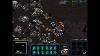 StarCraft Brood War  How to Tame a Wild Torrasque [upl. by Caty711]