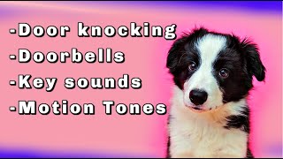 Dog sound desensitization Doorbells knocking and door opening key sounds [upl. by Velda]