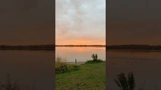 Ducks flying over lake at sunrise [upl. by Ehtyaf]