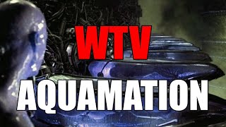 What You Need To Know About AQUAMATION [upl. by Sanborne]