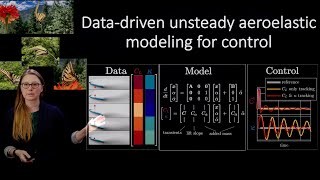 Interpretable Aeroelastic Models for Control at Insect Scale [upl. by Belac]