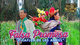 Picaflor de los Andes  FALSA PROMESA [upl. by Seuguh]