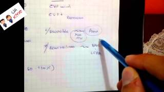 Interpretar ESPIROMETRIA en 3 pasos [upl. by Ardnuaet403]