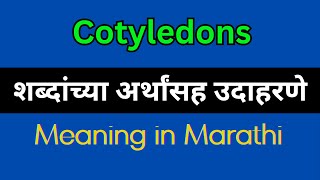 Cotyledons Meaning In Marathi  Cotyledons explained in Marathi [upl. by Laurita]