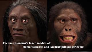 Evolution of Man Fraud Smithsonians Fake Hominids [upl. by Derdle]