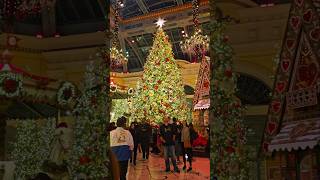 Bellagio Christmas lasvegas gamble winning [upl. by Ahsied638]