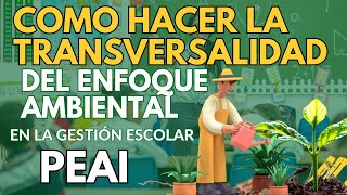 COMO HACER TRANSVERSALIDAD DEL ENFOQUE AMBIENTAL EN LA GESTION ESCOLAR [upl. by Natasha]