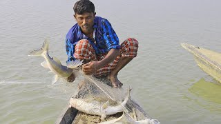 natural fishing in bangladesh  catfish catching [upl. by Brade]