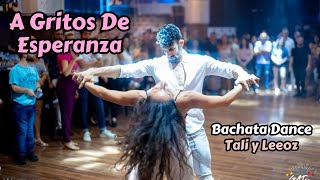 Karlos Rose  A GRITOS DE ESPERANZA  Tali y Leeoz bachata dance demo Havana Club [upl. by Naujyt517]