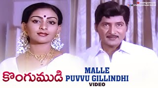 Kongumudi Movie Songs  Malle Puvu Gilindi Song  Sobhan Babu Suhasini [upl. by Aileno469]