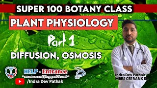 Plant Physiology part 1 DiffusionOsmosis  Water relation  plasmolysisImbibition  Absorption [upl. by Cleveland982]