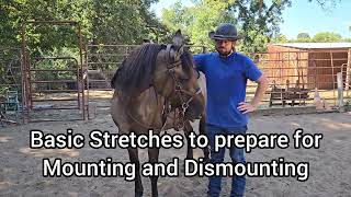 Basic Stretches to help mounting and Dismounting [upl. by Emiatej]